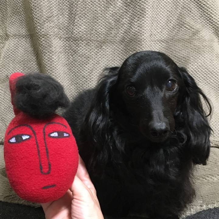 86c15052 e830 4f6d 906f d4533081a8fe 1676371287649