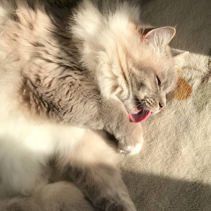 86c1559d 5f17 46be a77e d932322f5242 1517834642087