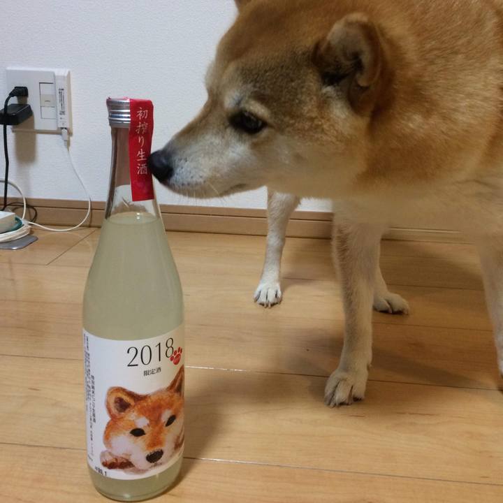 86c1ac20 5eb5 47f3 b877 34288720e1c4 1518434353889