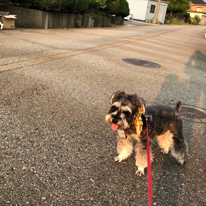 86c1af6f 7fa2 477a bb18 8aa644e9470f 1627811671352