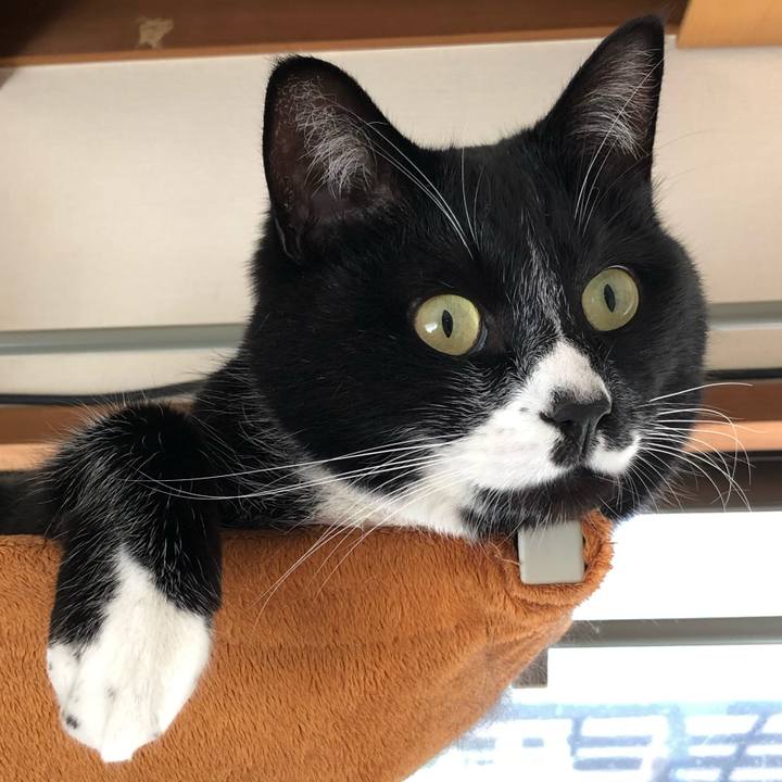 86c1c936 d121 428f b278 4547552335cd 1582861595235