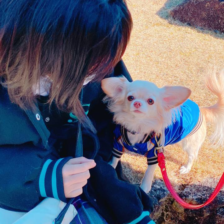 86c2064c af98 48a2 859a 33fc2cd860a3 1641371386990