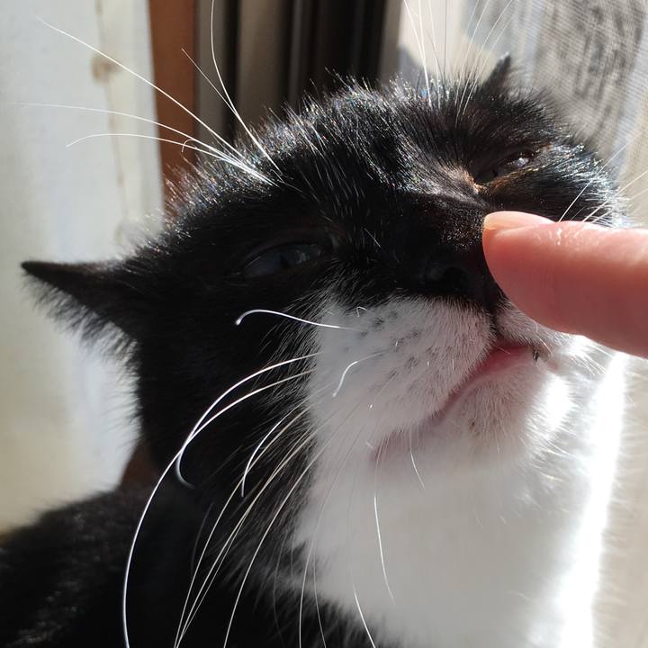 86c21134 f9ba 4b59 9429 93dcd5eca53e 1577850347525