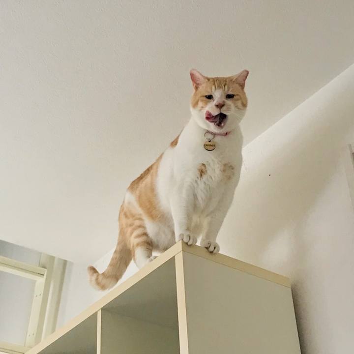 86c22f3b 187b 405e a677 be02d181f70d 1560050998723