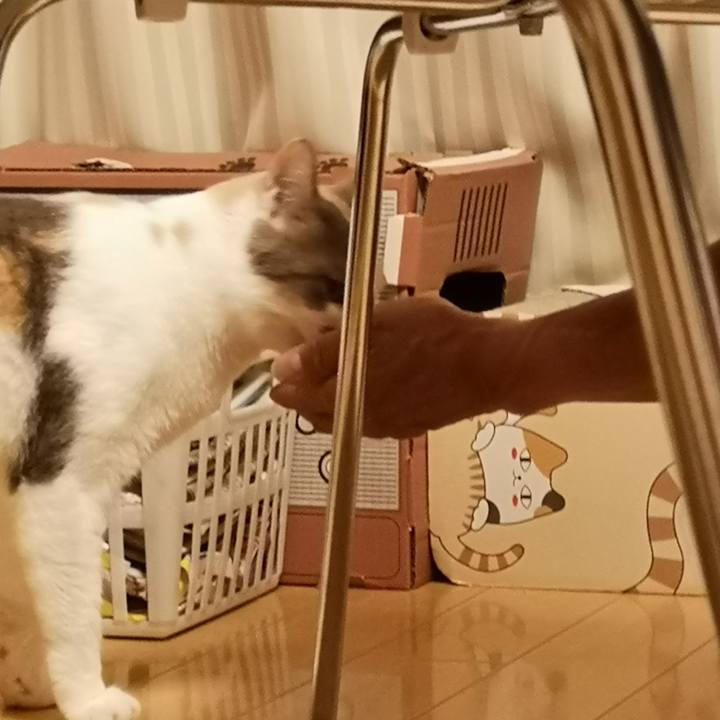 86c2301a 4b7a 4a4f 9216 80874a8c4c60 1565186707670