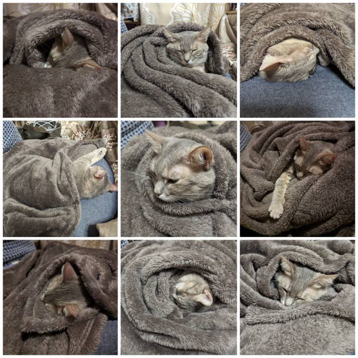 86c283c7 4ae3 4afe 80e7 bc7295bfcffd 1704340568472