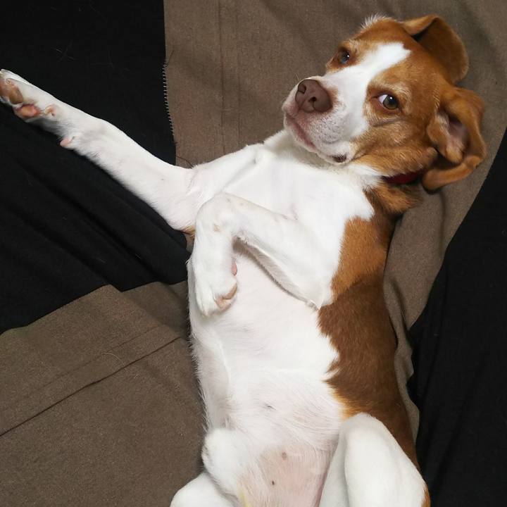 86c2ae09 78ba 4566 aeaa 4f472bcb98b6 1634108529311