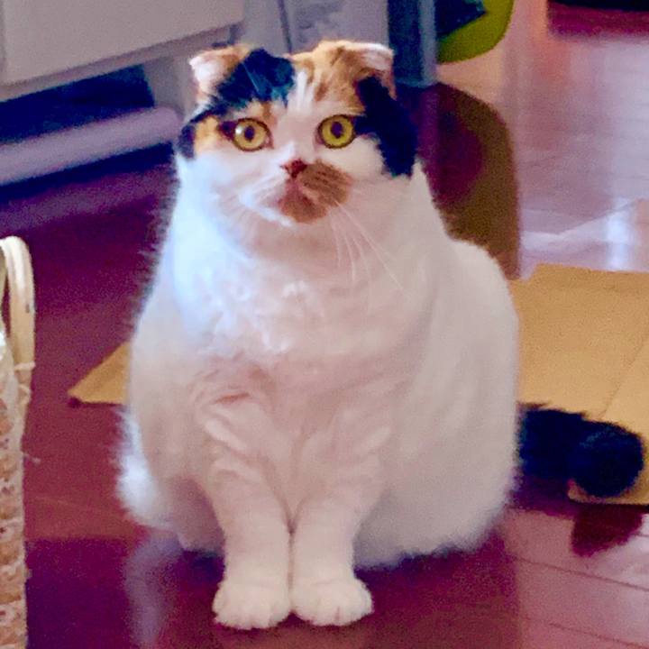 86c2b0ee e2c9 446e 8891 9dfaac48549e 1567781136452