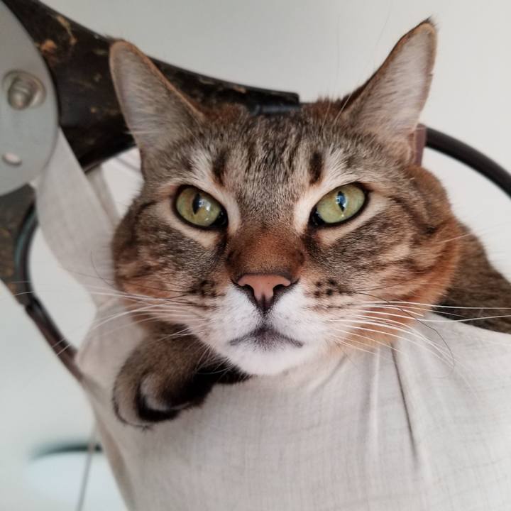 86c33021 eac3 4ca1 9f5e 1a217612ac89 1613003463912