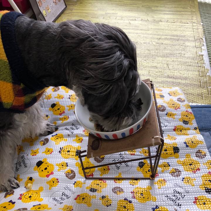 86c338b0 e90c 4e8a 8b68 591fadc5f6e8 1700962990184