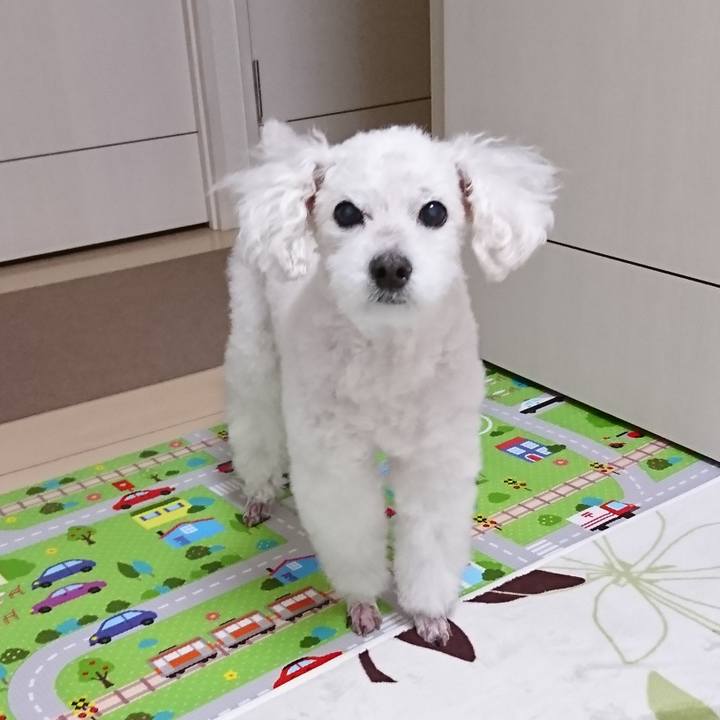 86c33f79 6dbf 46ed 883e 1e31f6c68262 1602664600836