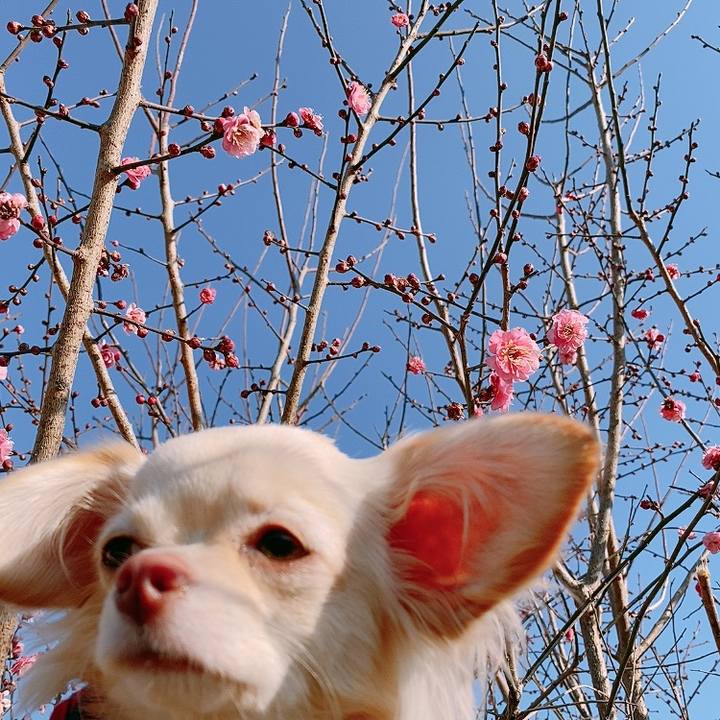 86c3443a c0a1 4176 b41b ca7df93d5752 1611208859876