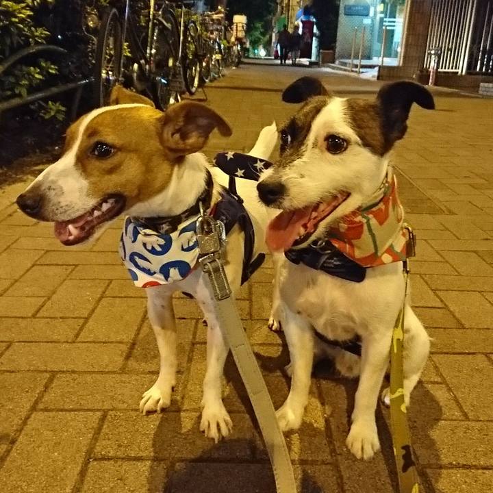 86c36033 2d8b 4204 8fa7 8995fa2c9a49 1532435113389