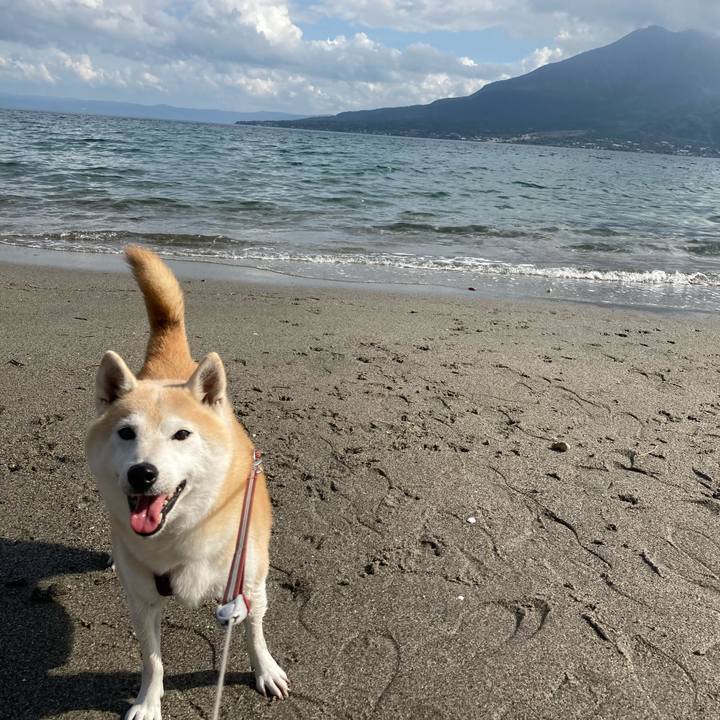 86c392f4 99de 474e 8175 df233e4043e1 1636295874175