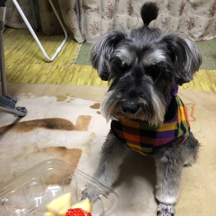 86c399e1 9921 4e54 87d6 79d318ad046a 1555420245456