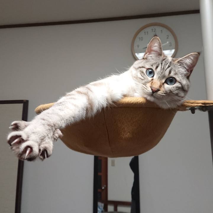 86c39d6c 2b19 4125 9c45 b226863fdf5a 1550230919454