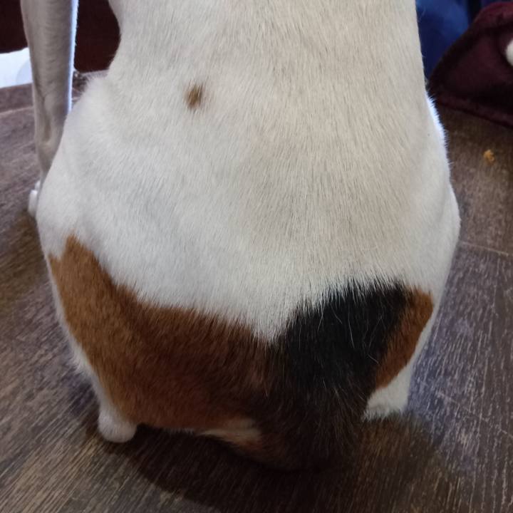 86c3a2f5 fb9f 4185 9393 200d8c905d43 1720504084910