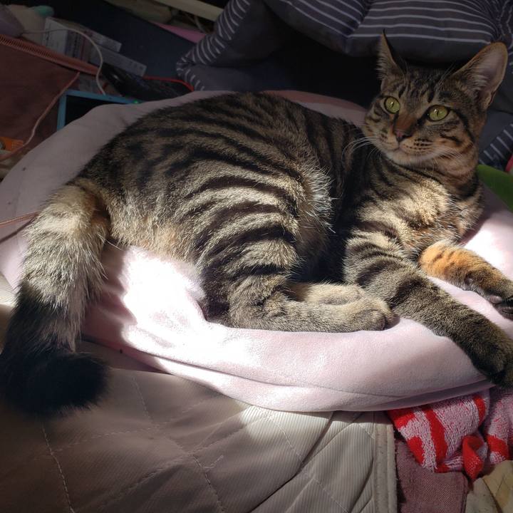 86c3b6f7 5532 45b3 8b04 8f01c46de4a9 1544924902655