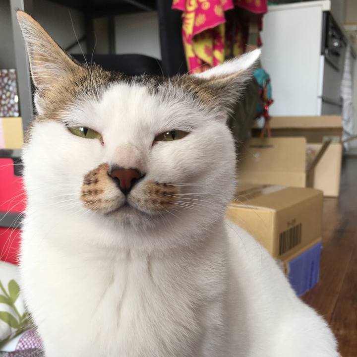 86c3ffbb 27a5 4033 8f9f 09edc41e3f35 1555807659251