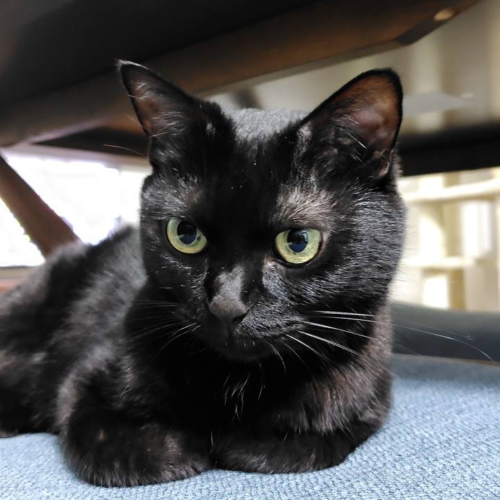 86c415bf 0a32 47d2 a6ad f470cff46add 1758885613155