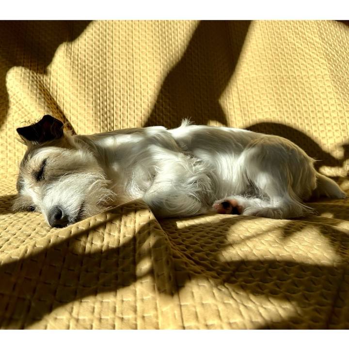 86c42a32 8a22 412b b39e dead9a4508f5 1705233503510