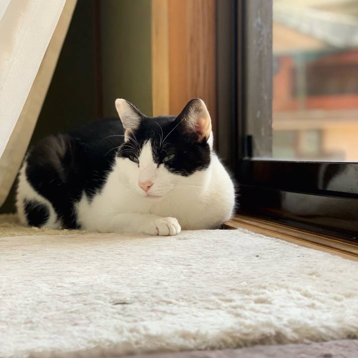 86c438c0 7536 4e7c bd27 730a98b4d912 1544665950571