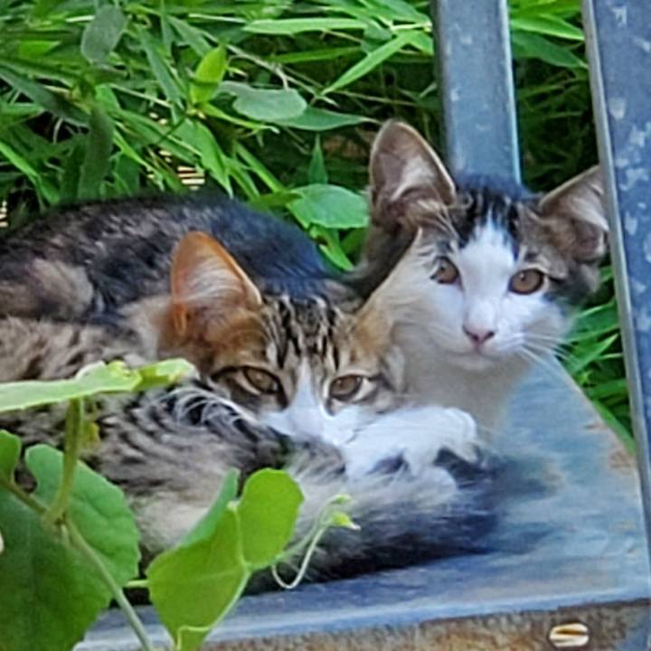 86c4aade aa5d 4193 90c7 293ac786f92f 1691217872680