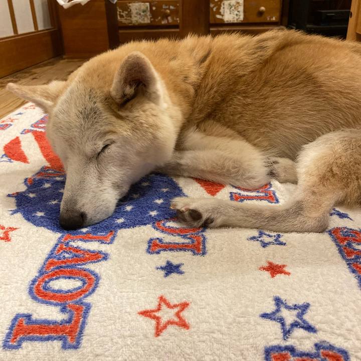 86c4bf00 b4bc 4568 b230 8ef47391884c 1603291960703