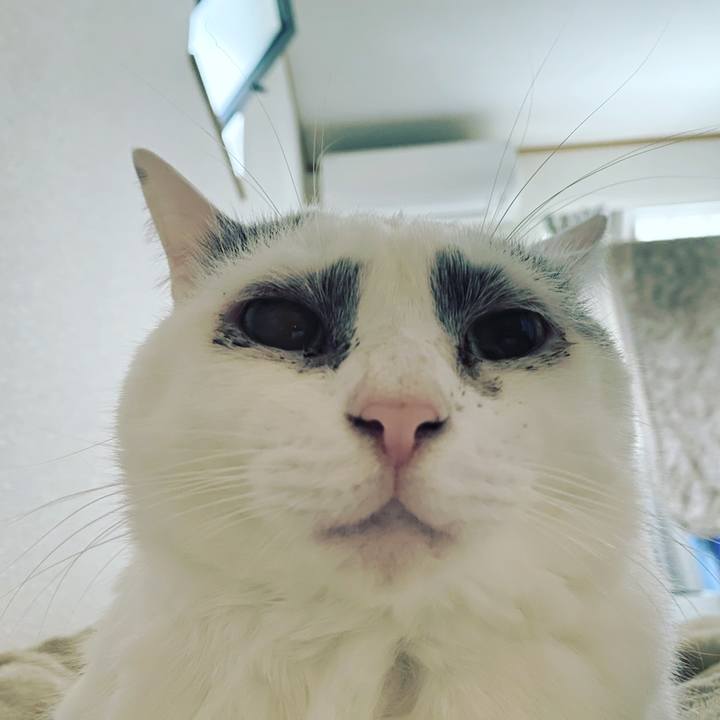 86c4cf61 ac61 4205 aa98 84d33d048307 1591740402794