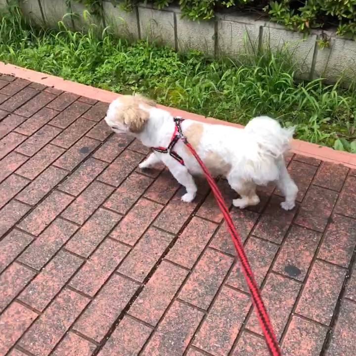 86c4d050 d852 439b 8870 24cb0d0662a2 1564785386897