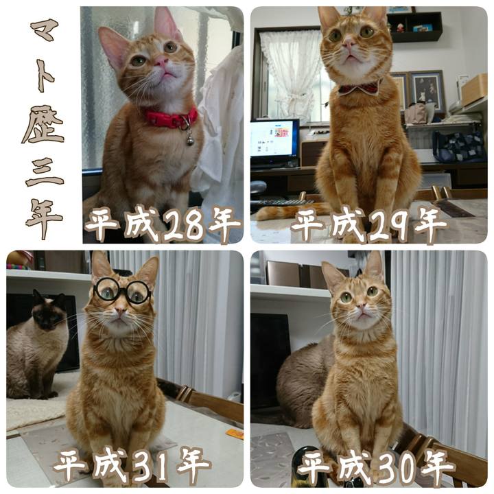 86c4e4ee 129e 40b5 a40d ec54a4edb097 1556545305679