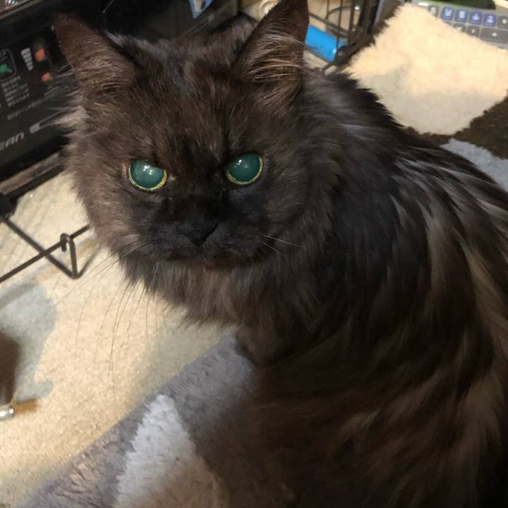 86c5117d fe60 48ba bc41 62f1a8e9bb83 1550094127211