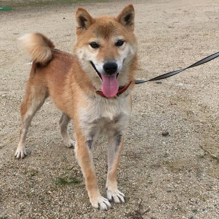 86c5558e c0f8 45a3 a294 239f91fa2f04 1541475157589