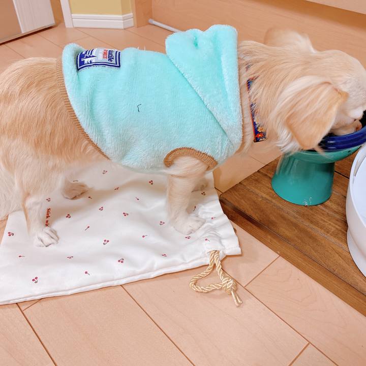 86c5669c 0328 4a47 a557 81e83d5bc596 1640769494538