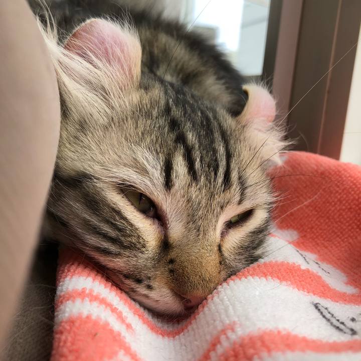 86c5a7dd 716c 4b28 9e25 15576d6d2466 1522200397165