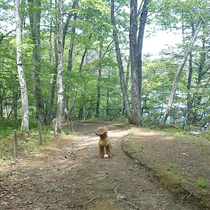 86c5b4ee 2b24 474c 9835 da84f1b17755 1525704726985