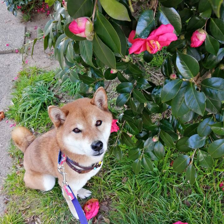 86c5b5b1 ff84 43dd 94e1 947934cf316d 1582102917187