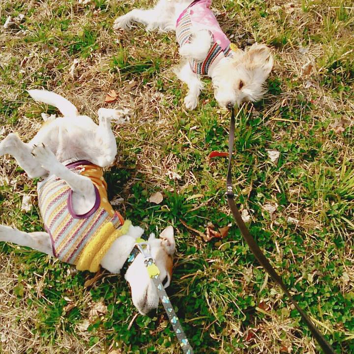 86c5c31d a695 41cd 95af b3695f6f8c7c 1516524307691