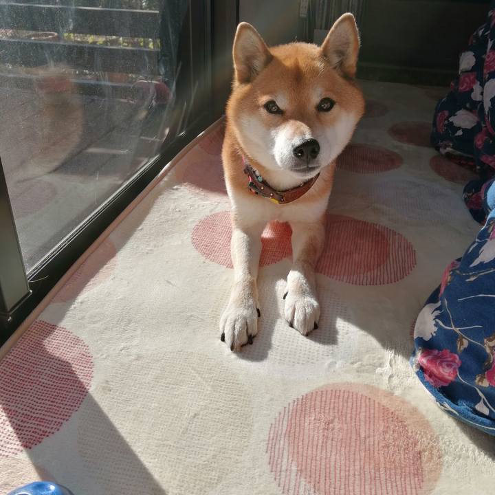 86c5d48d 08f4 4522 b05d 16f5f570811b 1642310257800