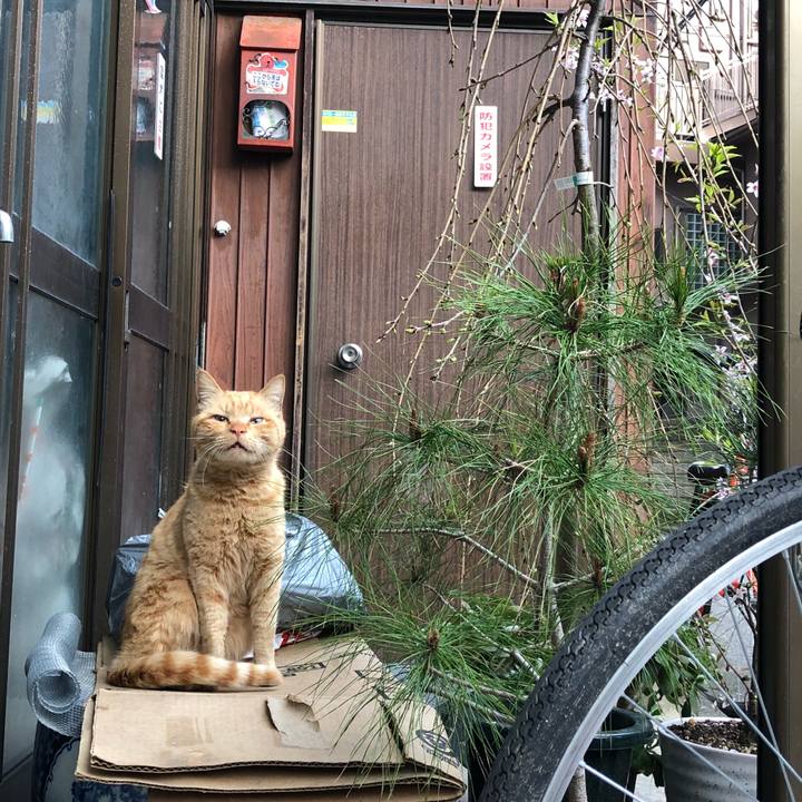 86c5dbf9 1625 4d6d 87cf 02b348d0068e 1521795868861