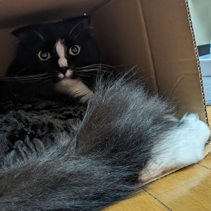 86c60d28 0f44 4091 9599 3715f27c7c31 1716718654580