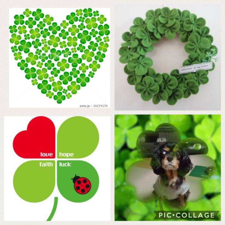 86c63305 e43d 4931 8a6c bd3ce26d5d29 1529765707859