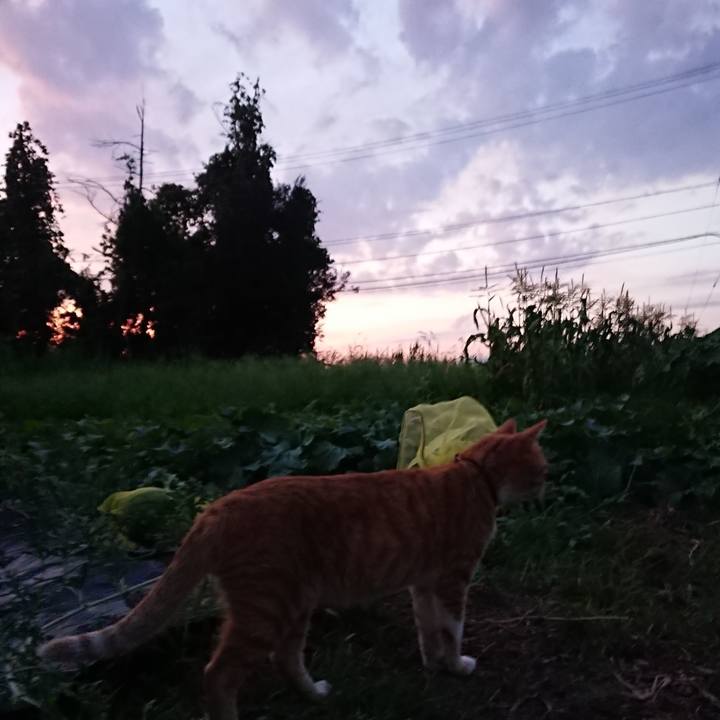 86c644fc 1560 4967 9a77 fe402eac7f54 1565172688285