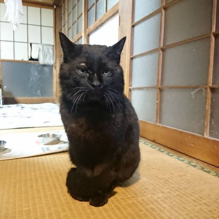 86c657b8 09fc 4bf4 aaaf 836f05024356 1618138966134