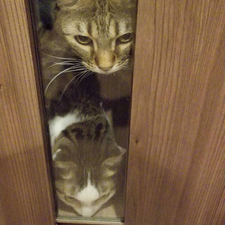 86c6591d 6c7c 445c 942a 54e9416fe21a 1551239187969