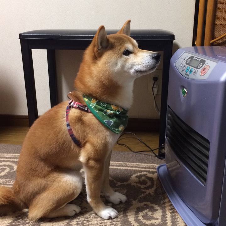 86c65eca 030c 4bc4 8a43 38539b60d414 1515210520949