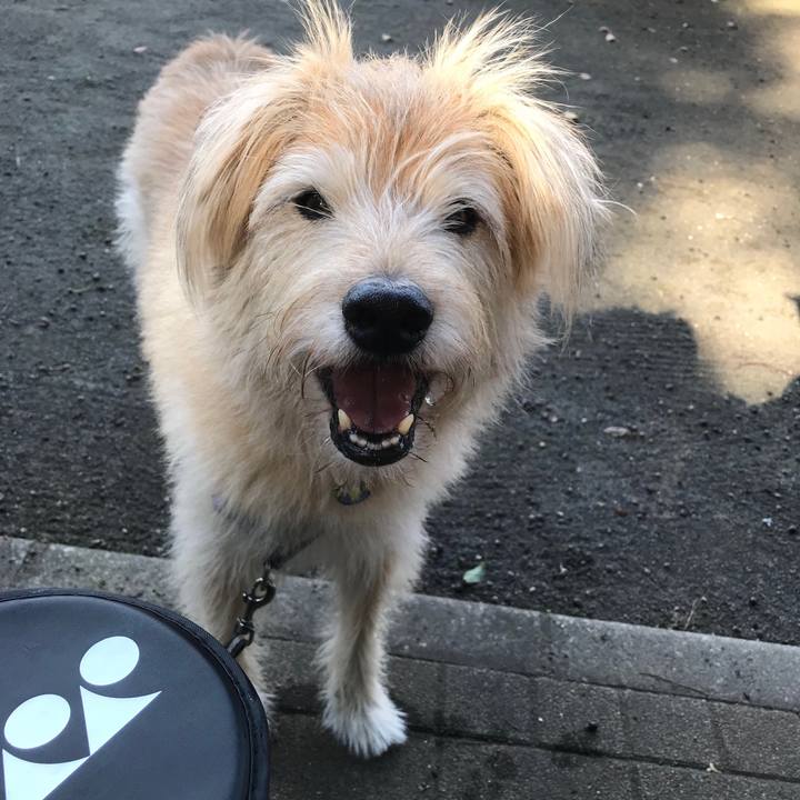 86c67f7c 30e5 45e5 b85d 6eddf37faffd 1646917456580