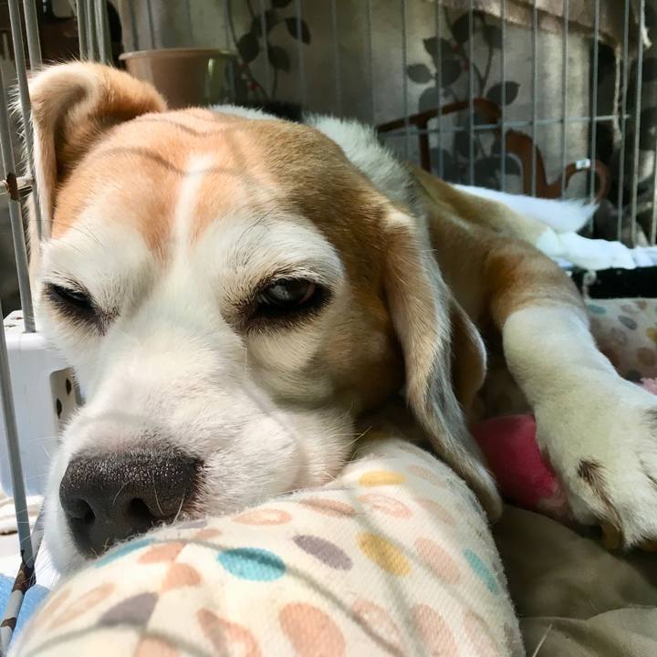 86c69c25 e966 41e1 a2cf 2349a24487c9 1560913373985