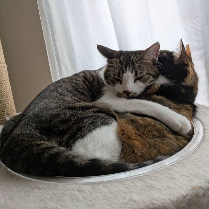 86c6c0b6 0832 49b1 b225 b344cdcb8679 1743651617861