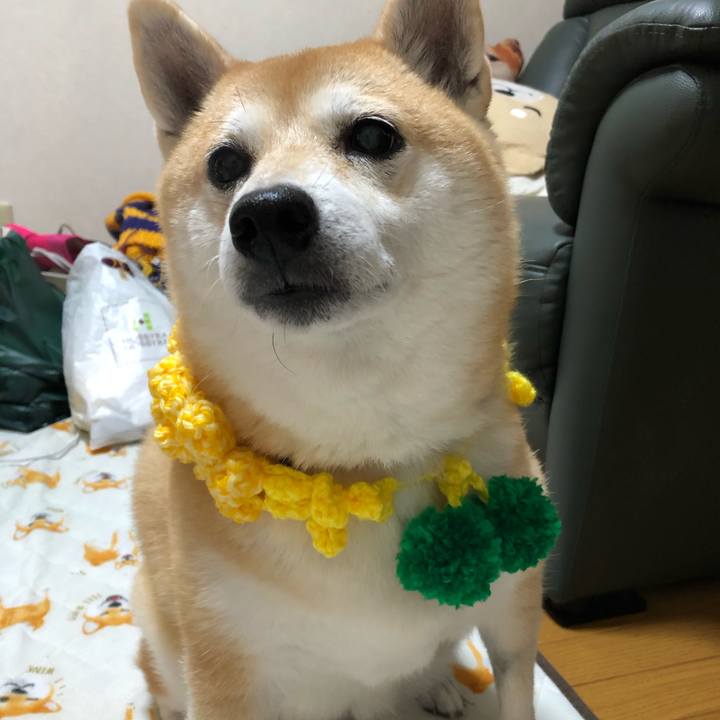 86c6c81e 61c0 42be 947e 6215b87285c4 1571880028914